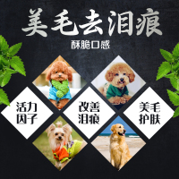 狗粮通用型 成幼犬全犬期 5kg10斤 金毛泰迪萨摩全犬种 特价