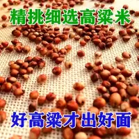 高粱面粉纯红高粱煎饼子馒头窝窝头杂粮粗粮面粉5斤