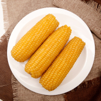甜糯玉米新鲜非转基因即食真空袋装东北粘苞米老黏玉米棒12只