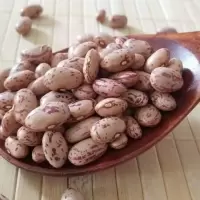 新鲜奶花芸豆农家自产大粒花饭豆花腰豆四季豆大碴粥杂粮5斤