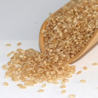 糙米 东北糙米玄米农家发芽米粗胚芽米糟米打迷糊5kg10斤装