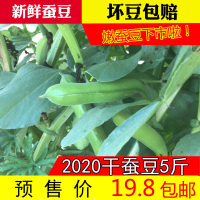 干蚕豆新鲜蔬菜农家自种带壳嫩胡豆5斤装当季时令鲜蚕豆5斤重