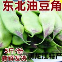 油豆角 正宗东北油豆角 一点红新鲜蔬菜 九月青 5斤 东北豆角