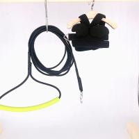 鹦鹉鸟放飞绳飞行背带牵引绳弹性超轻遛鸟绳外出训练绳申通