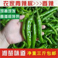 湖南新鲜青辣椒邵阳农家自种蔬菜特辣青椒中辣剁椒专用3斤