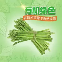 芦笋新鲜蔬菜 现摘现发精选应季龙须菜净重3斤坏果包赔