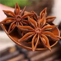 八角500克大料大茴香另有青花椒桂皮香叶调料大全烧菜调料