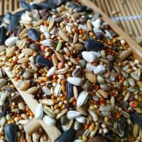 鹦鹉 中小型鹦鹉粮小太阳和尚玫瑰玄凤饲料鸟食鸟粮5斤