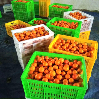 陕西特产农家自酿柿子醋手工纯天然原浆凉拌陈醋食用果醋5斤