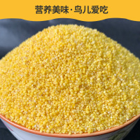 无壳谷子小米文鸟珍珠鸟虎皮鹦鹉鸟食鸟粮饲料蛋小米原料一件