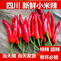 农家自种新鲜红辣椒小米椒5斤装朝天椒蔬菜红辣椒干辣椒净重