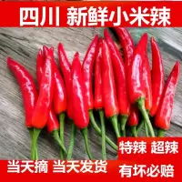 农家自种新鲜红辣椒小米椒5斤装朝天椒蔬菜红辣椒干辣椒净重