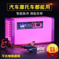 汽车摩托车电瓶充电器12v40ah60ah100ah干水电池自动识别通用