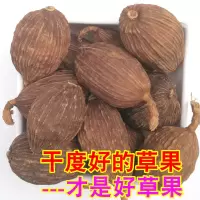 云南草果个纯正特级干货500克g厨房调料香料散装新鲜卤肉家用