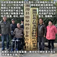 龙山百合干新鲜食用500g特级干货1斤非宜兴兰州龙牙白和野生