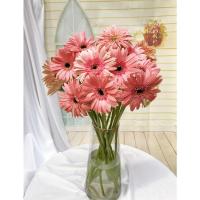 新鲜鲜花非洲菊太阳花扶郎花花篮用花开业云南斗南基地直发