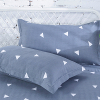 全棉枕套枕头套枕芯皮 一对装纯棉单人枕用大号48*74成人情侣