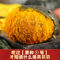 惠和一号贝贝南瓜新鲜板栗南瓜5斤小南瓜板栗味宝宝辅食