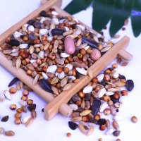 10斤装无玉米无豌豆幼鸽粮赛飞营养饲料鸟食信鸽观赏鸽鸽子食