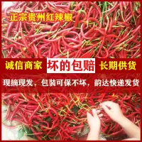 贵州红辣椒新鲜蔬菜 二荆条青椒红海椒5斤湖南线椒四川美人椒