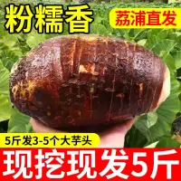 广西正宗荔浦芋头蔬菜新鲜槟榔芋头香芋紫藤芋毛芋头特产5斤