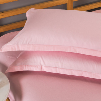 纯棉纯色枕套枕芯套全棉一对装秋冬季48x74单双人学生枕头套