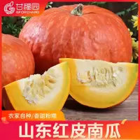 山东红皮南瓜5斤装万圣节小南瓜金倭瓜新鲜蔬菜老南瓜灯批发
