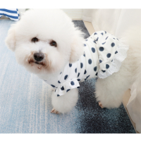 ]宠物春夏清凉裙子泰迪比熊博美狗狗公主淑女波点裙子夏款衣