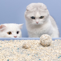 尾巴生活小混球混合膨润土豆腐砂猫砂除臭猫咪猫沙真空用品