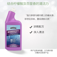 强效马桶清洁剂532ml厕所洁厕灵专柜环保超市