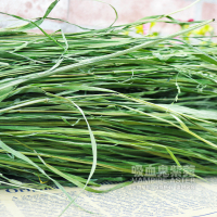 2020精品烘干提摩西草毛重1kg北提提草草兔子草豚鼠牧草干草