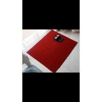 加厚绒面地毯门垫家用进门出入平安门口门厅门前防滑脚垫地垫