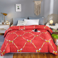 亲肤秋冬被薄被子单人双人学生午睡被芯夏凉被加厚丝绵被羽丝绒被