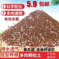 多肉营养土通用型泥炭土种植花土小苗家用植物透气土壤专用颗粒土