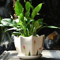 多肉花盆陶瓷创意个性大号清仓特价带托盘家用绿萝吊兰小花盆批发