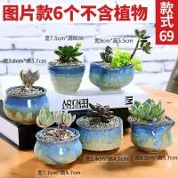 多肉花盆陶瓷老桩特价清仓粗陶透气大口径大号创意小肉肉植物