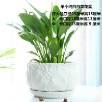 花盆陶瓷超特大号大号特价清仓带托盘创意个性阳台吊兰绿色白色