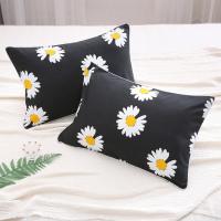 家用学生枕头宿舍寝室单人成人护颈椎可爱卡通枕头一对枕芯送枕套