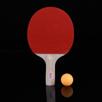 乒乓球拍2只装双拍儿童中小学生 成人标准成品直拍横拍初学者单拍
