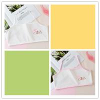 少女内衣全棉中小学生发育期纯棉薄款女童背心女孩无钢圈运动文胸