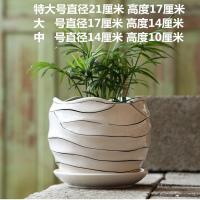 花盆陶瓷清仓大号特价特大带托盘绿萝创意家用吊兰兰花多肉小花盆