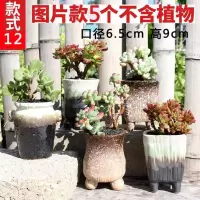多肉花盆特价清仓肉肉植物老桩阳台创意个性大小陶土粗陶陶瓷罐盆