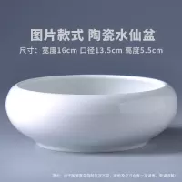 水仙花盆陶瓷无孔大口径特价清仓水培一叶莲碗莲铜钱草专用特大号