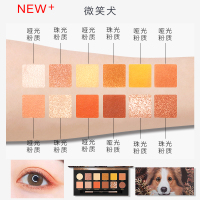 贵族宠物十二色动物眼影哑光珠光眼影盘彩妆女王猫眼影盘女