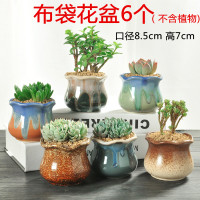 多肉花盆陶瓷特价清仓小号创意老桩粗陶透气大口径肉肉植物小花盆