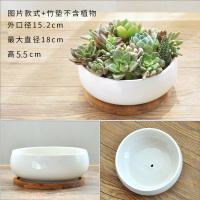 多肉植物花盆大号大口径特价清仓简约个性创意拼盘陶瓷花盆器