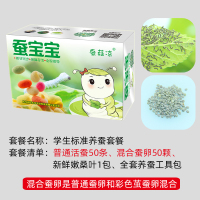 学生养春卵活体套装天然彩色茧子七彩送桑叶工具饲养箱包活