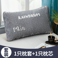 枕头夏天凉枕带冰丝枕套凉爽学生宿舍单人枕芯一对装家用48x74cm