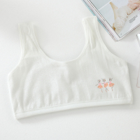 少女发育期内衣初中小学生女孩大童小背心抹胸文胸10-12-13-14岁