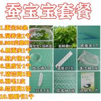 蚕宝宝活体春蚕幼虫活物学生养蚕套装儿童小蚕1龄234龄送新鲜桑叶